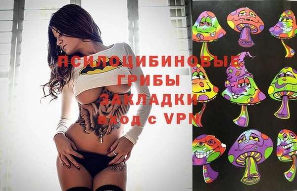 ешки Богданович