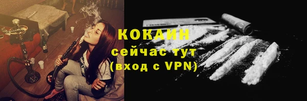 ешки Богданович