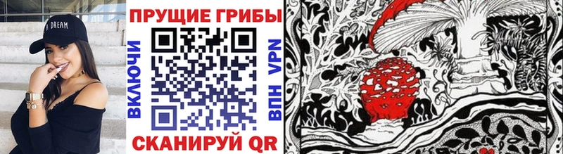Псилоцибиновые грибы мицелий  это наркотические препараты  Химки 